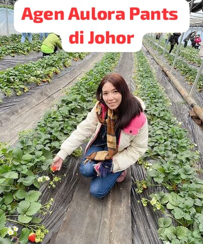 Aulora Pants Johor